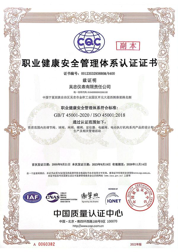 职业健康体系ISO45001证书.jpg