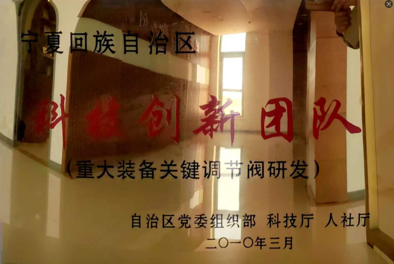 宁夏回族自治区科技创新团队（重大装备管件调节阀研发）