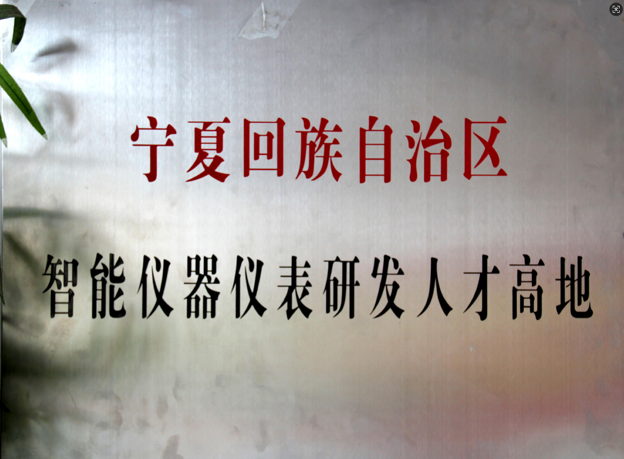宁夏回族自治区智能仪器仪表研发人才高地