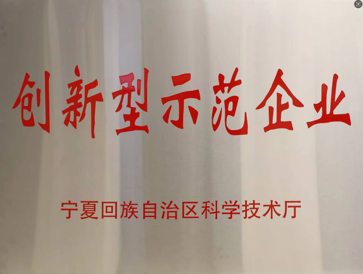 创新型示范企业