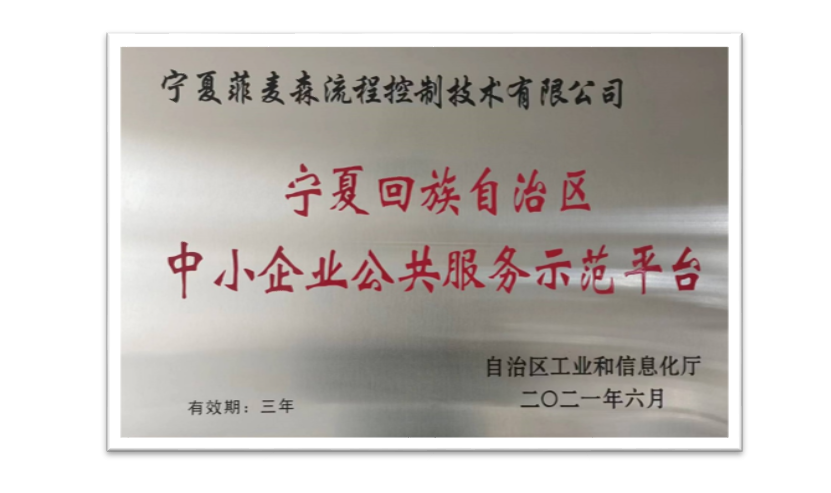 公共服务示范平台